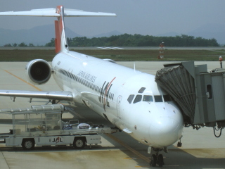 JAL3403便(JA8066)
