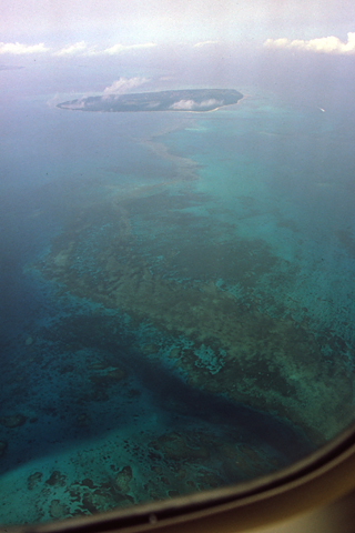 石垣島沖のさんご礁