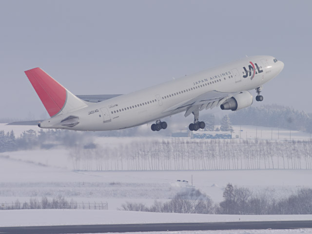 JAL - Airbus A300-600R