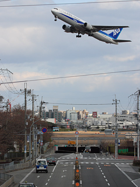 ANA - Boeing 767-300ER(JA8971)