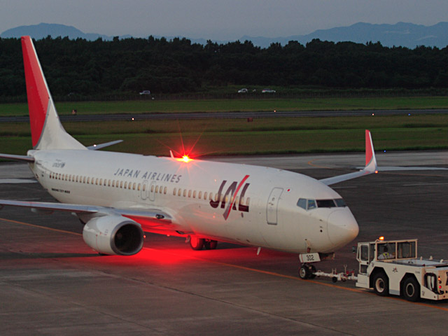 JAL - Boeing 737-800(JA302J)