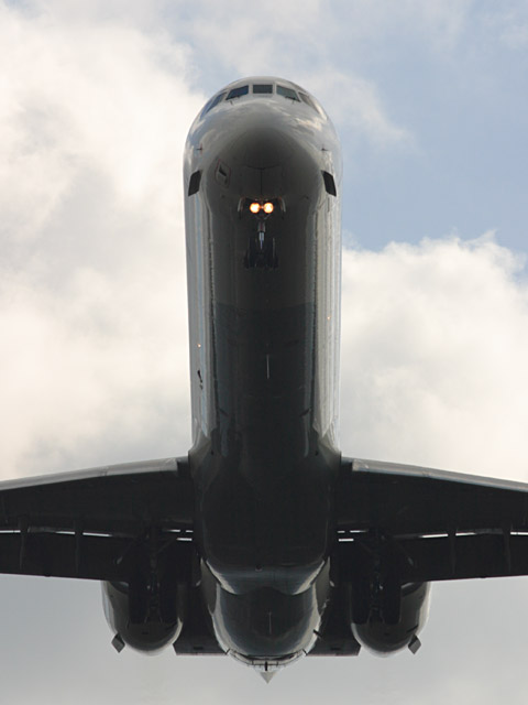 JAL - McDonnell Douglas MD-90-30(JA8065)