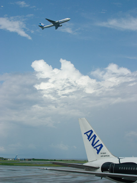 ANA - Boeing 767-300(JA8273)<br>ANA - Boeing 767-300ER(JA606A)