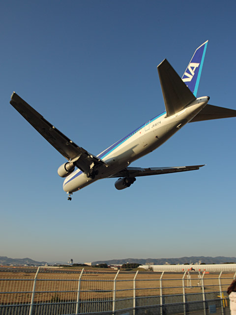 ANA - Boeing 767-300(JA8274)