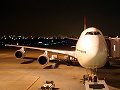 夜の空港 JAL/744