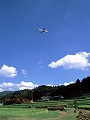 田んぼ風景の中の着陸 JAL/AB6