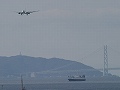 明石海峡大橋と着陸機 JAL/773