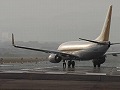 ANA ゴールドジェット ANA/737