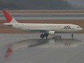 雨に濡れた空港 JAL/AB6